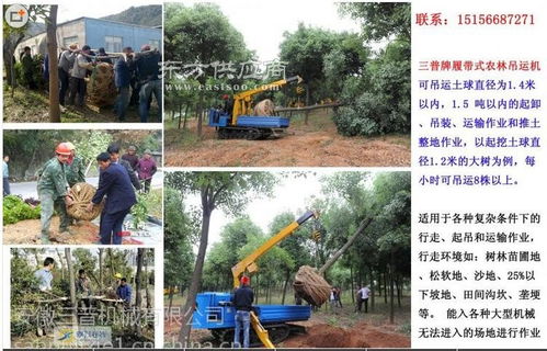 供應(yīng)高效苗木吊裝機(jī) 三普牌履帶式農(nóng)林吊運(yùn)機(jī)助力園林作業(yè)現(xiàn)代化